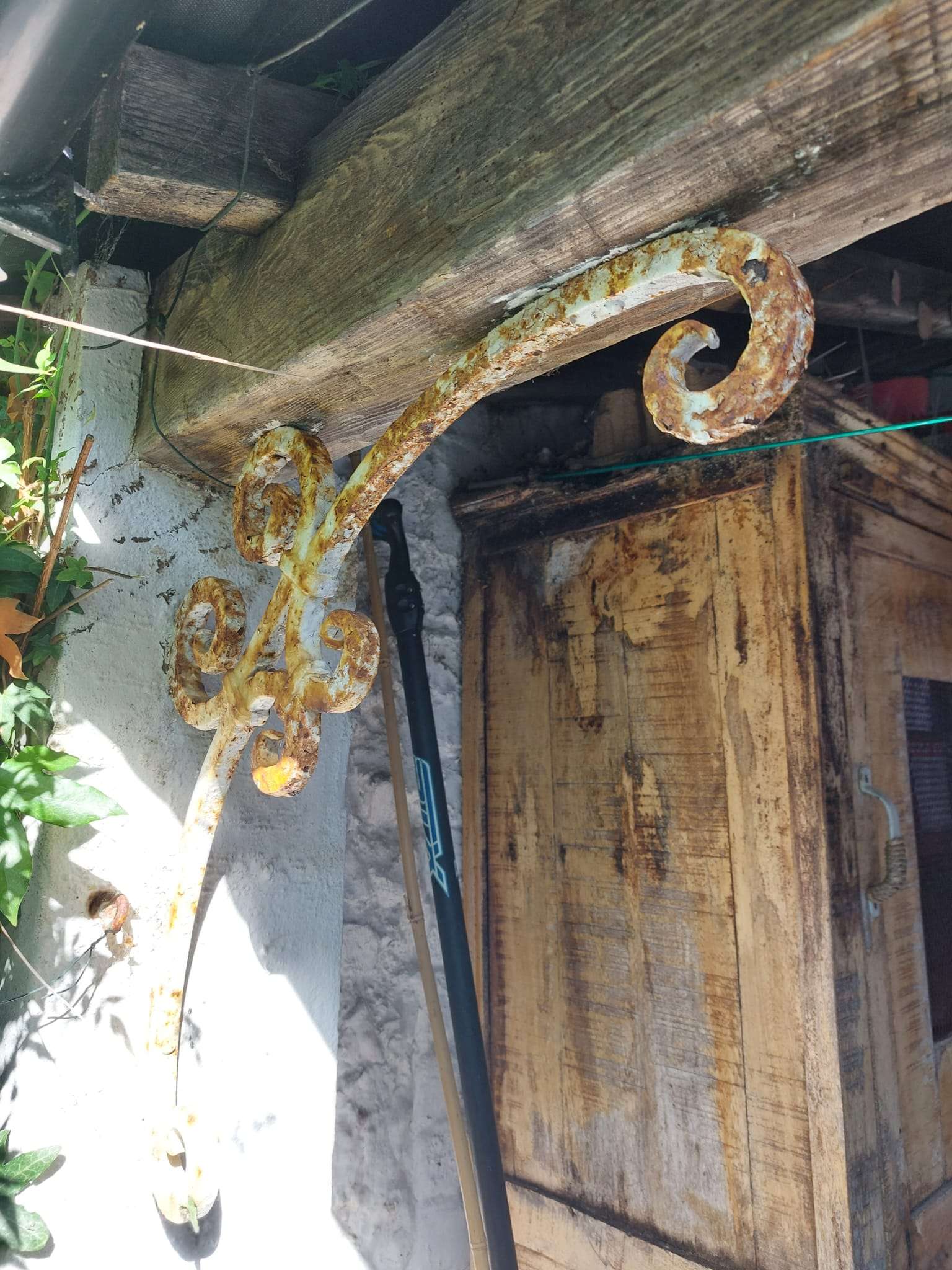 A hook for hanging plants with the paint peeled and rust