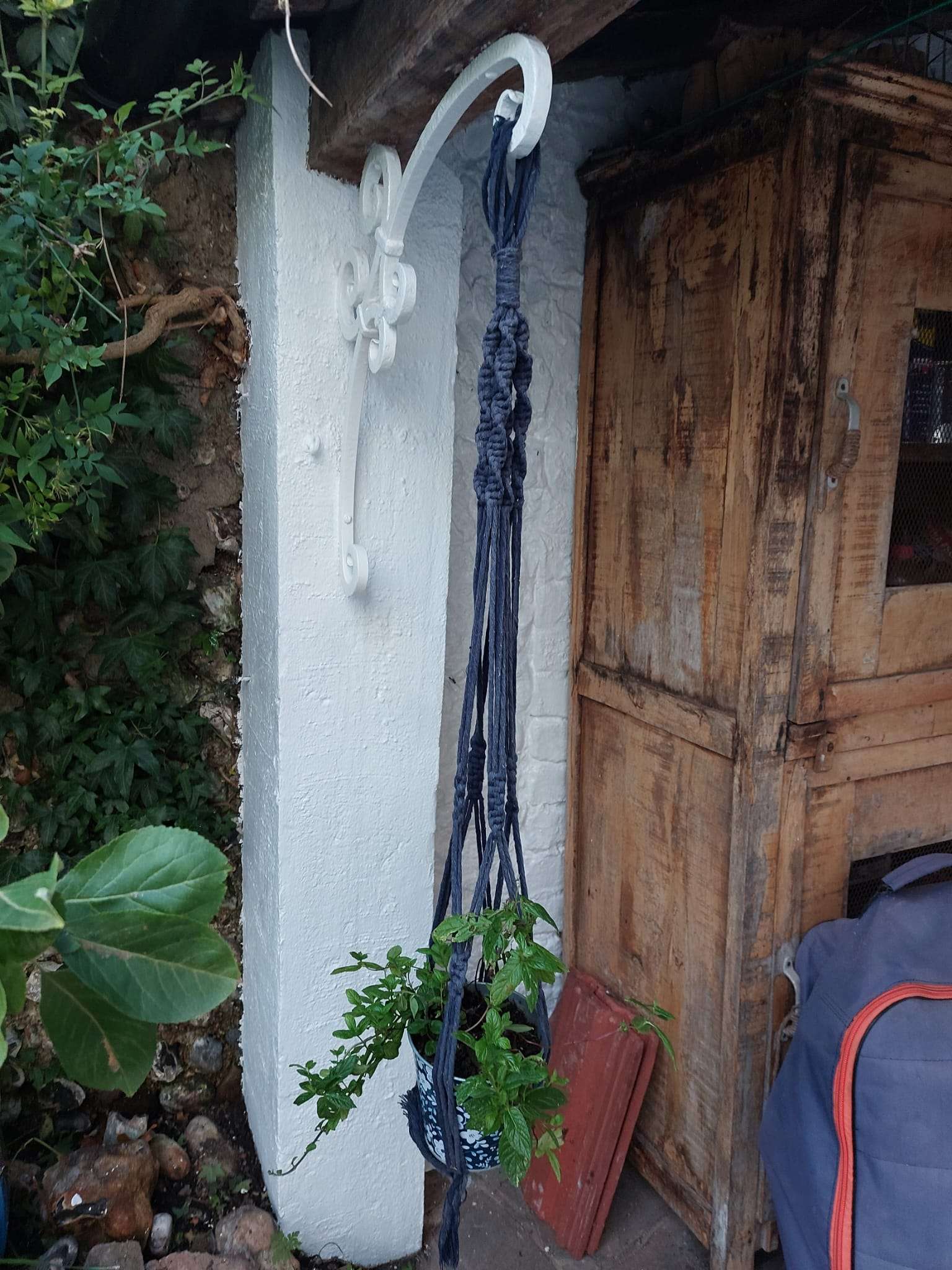A beutiful hook for hanging plants