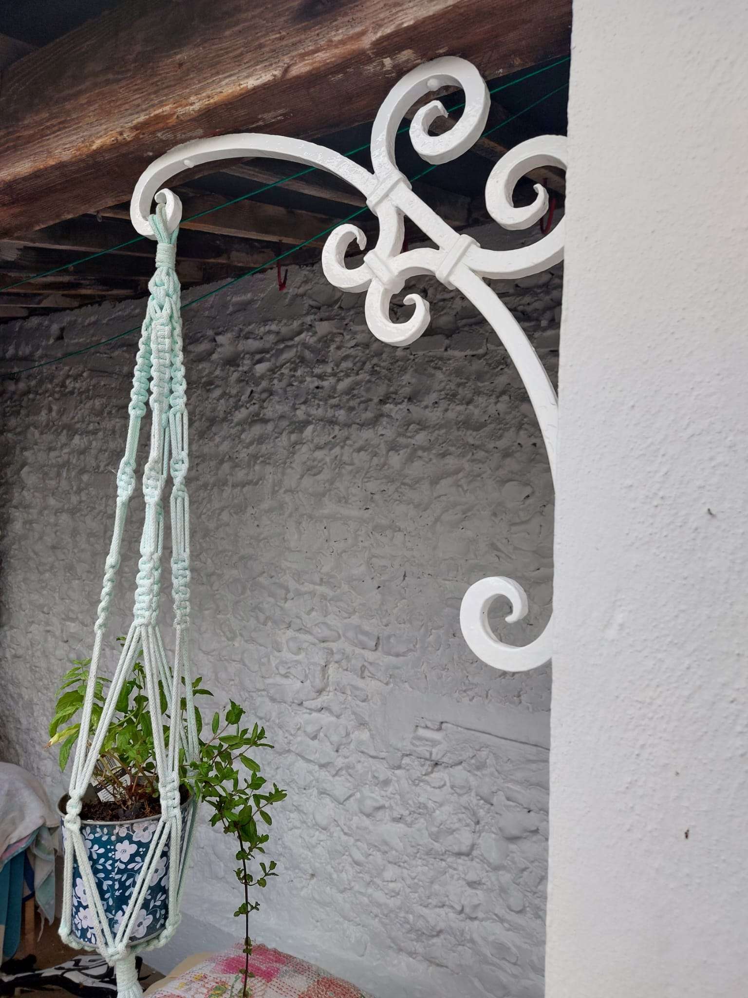 A beutiful hook for hanging plants