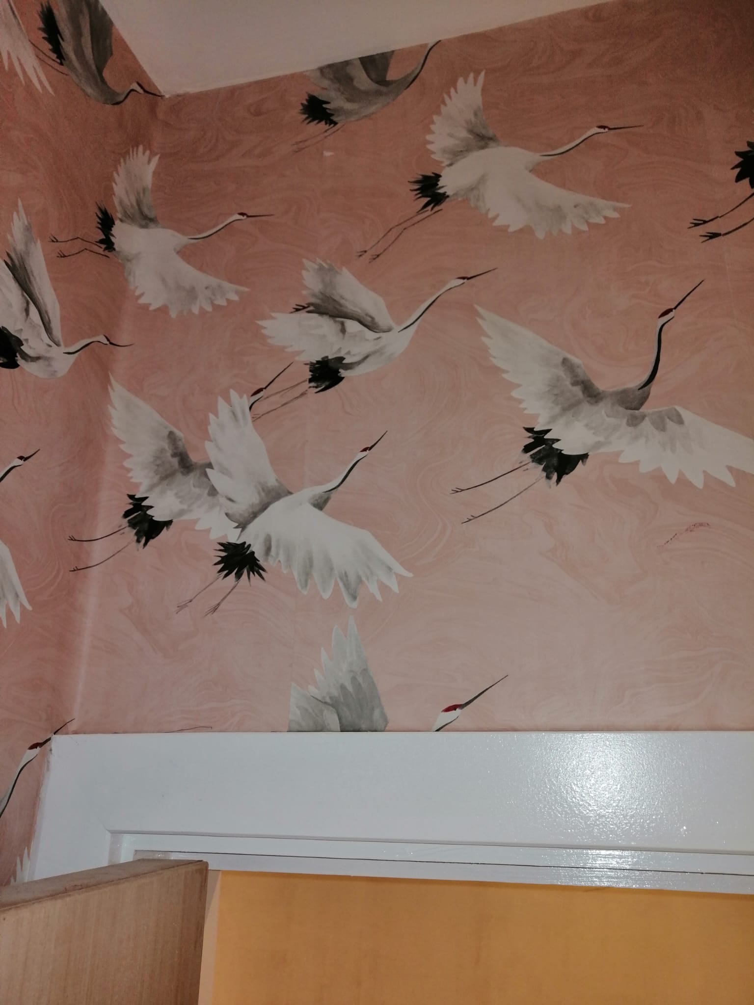 Attentively applied new wallpaper; bird theme