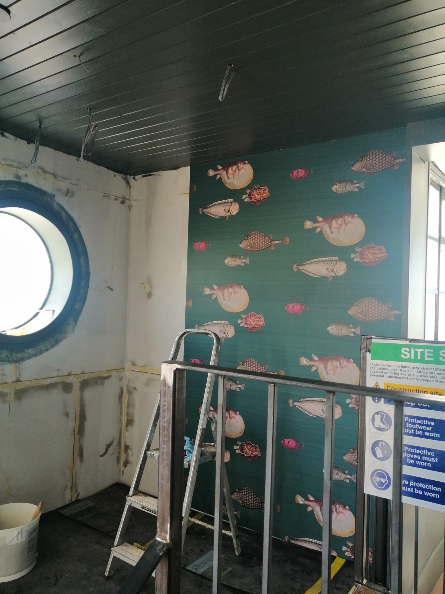 Attentively applied new wallpaper; fish theme